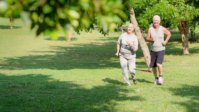 Si has llegado a la tercera edad, tener un estilo de vida saludable puede afectar positivamente tanto tu vida como tu calidad de vida.